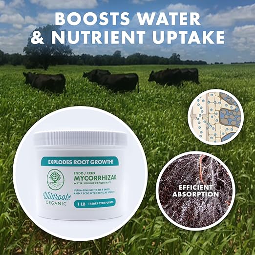 Organic 5 oz Mycorrhizae 16 Species Inoculant Treats 6000 4-Inch Plants. Explodes Root Growth Saves Water. Allow Your Plants Garden and Trees to Thrive!