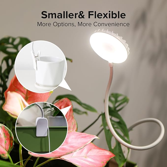 Plant Grow Lights Full Spectrum Clip Plant Growing Lamp 4000K LED Grow Light Indoor 4 Dimmable Levels Adjustable Pot Grow Lamp Auto On/Off Timing 4/8/12H White 2 Pack Succulents