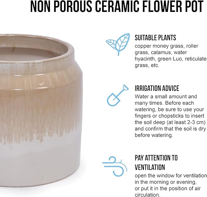 Handmade Non Porous Ceramic Planter Set of 2 6 8 Diameter Beige Drip Glaze for Aquatic Plants IndoorOutdoor Shelf Desk Use Breathable Clay