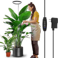 LED Grow Light Full Spectrum Plant Light with Timer 160 LEDs Height Adjustable Indoor Growing Lamp Black Auto On/Off 4H/8H/12H