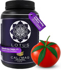 Cal/Mag Pro Series - Hydroponic Plant Nutrients - Supplement for Enhanced Plant Growth - Naturally Derived Premium Powdered Nutrient with Calcium and Magnesium for Soil Hydroponic &amp Coco Coir 12