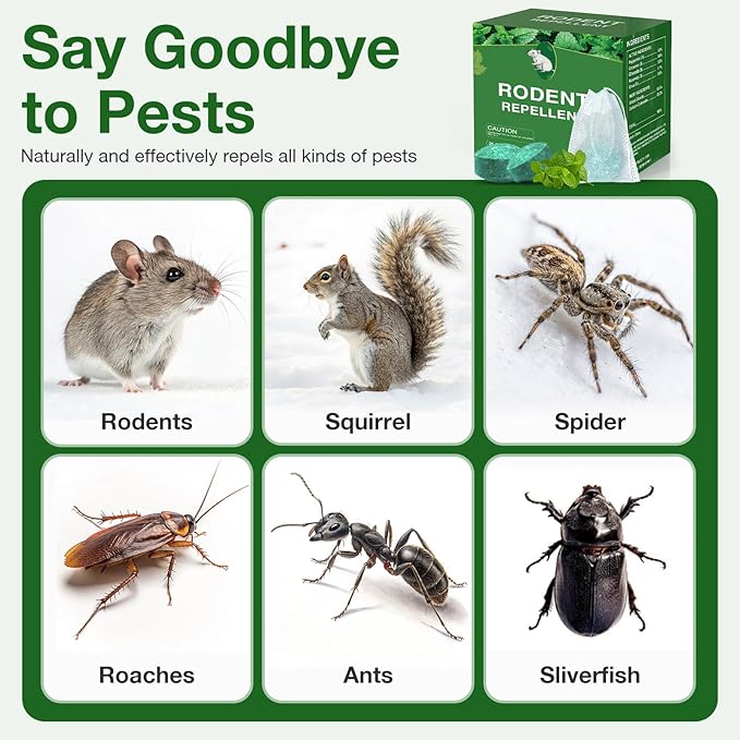 Mouse Rodent Repellent 10 Pack Peppermint Oil Mouse Traps for Rat Mice Ant Roach Spider Squirrel Nature Mouse Deterrent for Indoor Outdoor Use for Garden &amp Home Family &amp Pet Safe