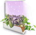 Full System of Hydroponic Culture Plants Lights Water Level Indicator Adjustable Height Interior Cultivation Kit Gardening Hydroponic Succulents