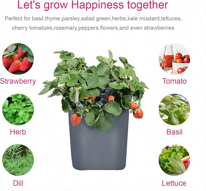 2 Hydroponic Buckets Kit for Plants Hydroponics Growing System for Herbs/Tomato/Vegetables DWC System with Air Pump &amp Germination Tray (Complete Indoor Hydroponic Gardening Supplies)