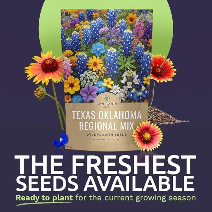 Texas Oklahoma Regional Mix Seeds for Planting - Bulk 1 Pound Bag - Over 240000 Native Seeds - Open Pollinated and Non GMO