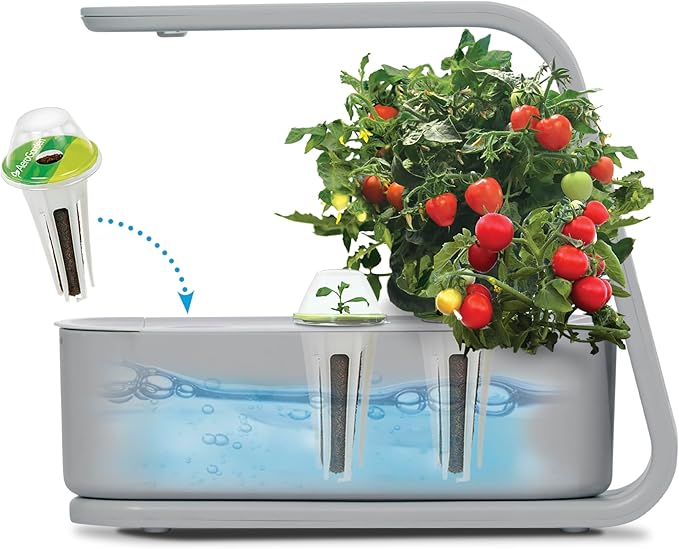 AeroGarden Sprout with Gourmet Herb Seed Pod Kit - Indoor Garden with LED Grow Light Cool Gray