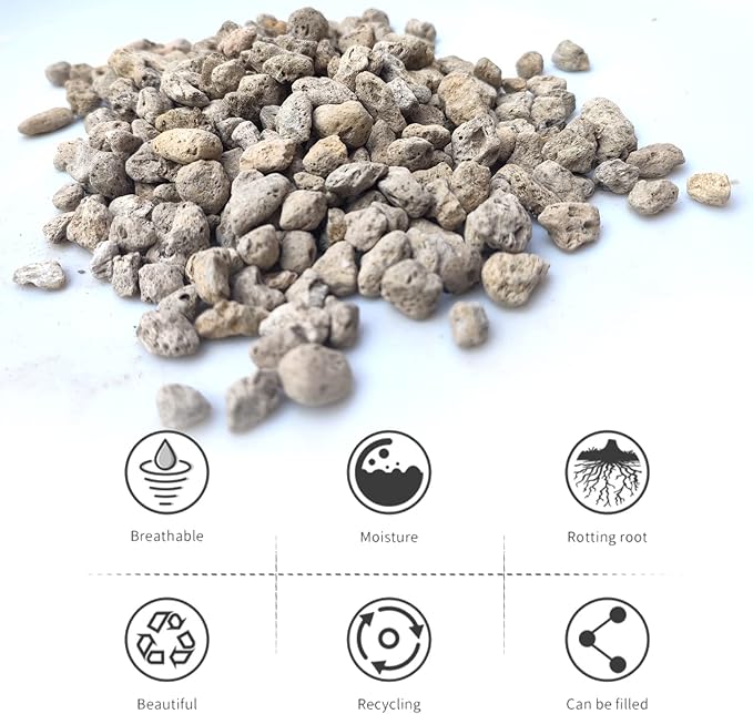 Horticultural Pumice for Plants Professional Sifted (30QT 1/4 inch)