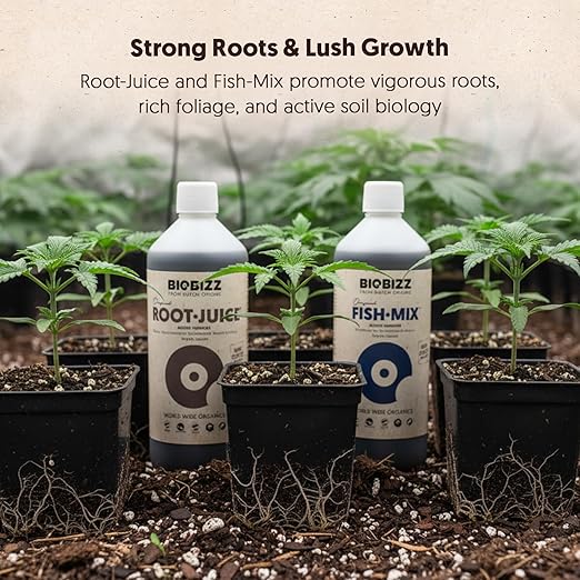 BioBizz All·Pack Outdoor - Complete Organic Nutrient Kit (6 x 16.9 fl oz) | Natural Fertilizer for Outdoor Plants Soil Enhancer Root &amp Bloom Booster for Garden Growth
