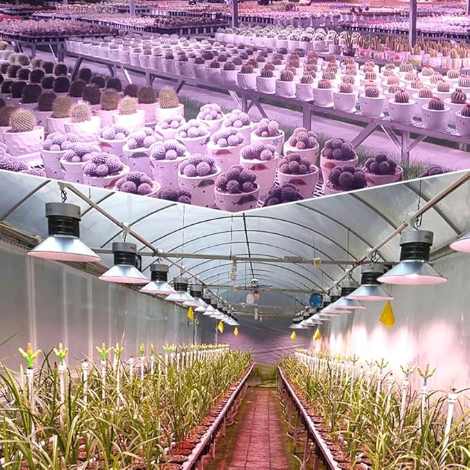 50W 100-LED Plant Grow Light Bulb Hydroponic Veg Flower Full (Colour: Astigmatismo Dimensions: 50W)