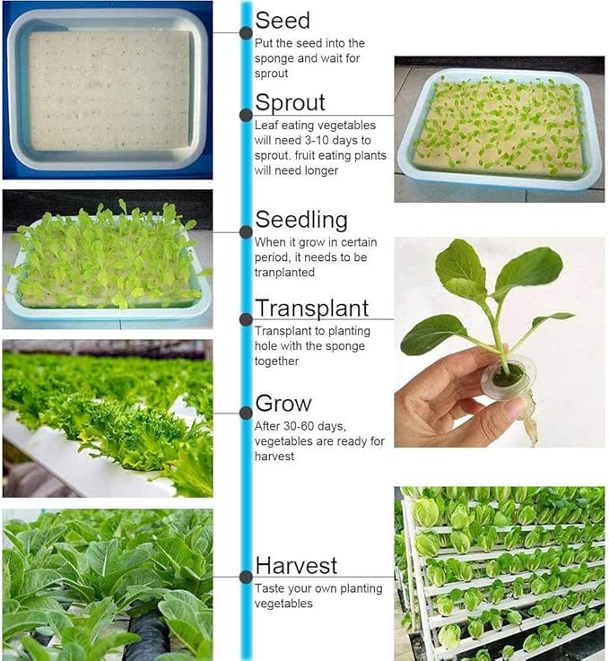 3 Layers 108 Plant Sites Hydroponic Site Grow Kit 12 Pipes Hydroponic Growing System Water Culture Garden Plant System for Leafy Vegetables Lettuce Herb Celery