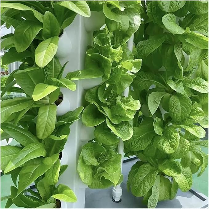 Hydroponic Tower Growing Sytem Hydroponic Tower Growing Sytem Indoor Vertical Hydroponics Tower Gardeeroponic Growing System Kit Planting Frame for Fruits Vegetables Herbs White Easy T