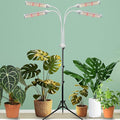 420 LED Grow Lights for Indoor Plants Full Spectrum LED Plant Light with Stand Adjustable Height Plant Grow Lights with Auto 4/8/15/H Timer for Indoor Tall Plants.