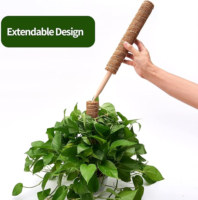 6 Pcs Moss Pole Extending to 68 Inches for Plants Monstera Plant Support Stakes for Indoor Climbing Plants Grow Upwards with 65ft Twist Ties 13ft Jute Rope 6.5ft Hook-and-Loop Strip