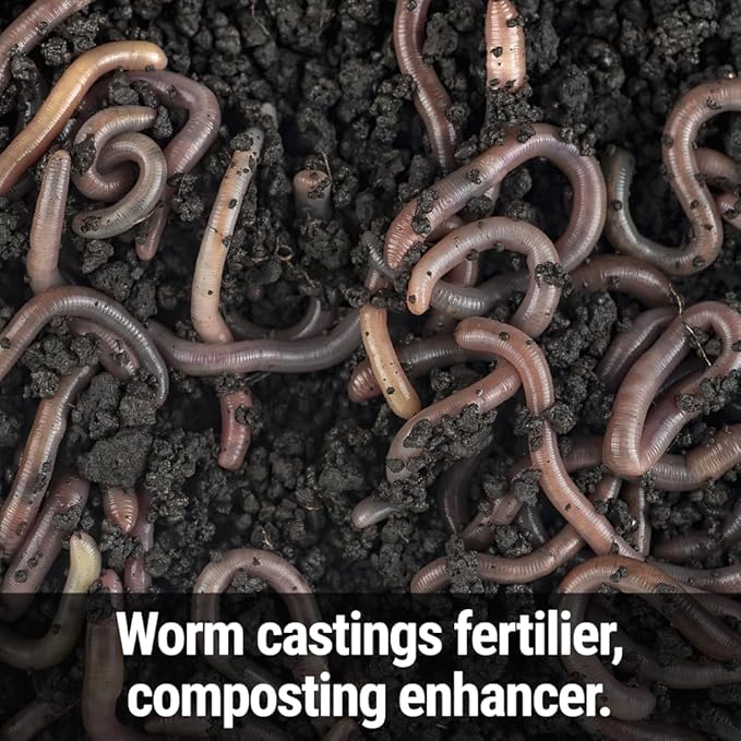 Seedlingers Worm Magic Worm Castings 40 Pound Granular