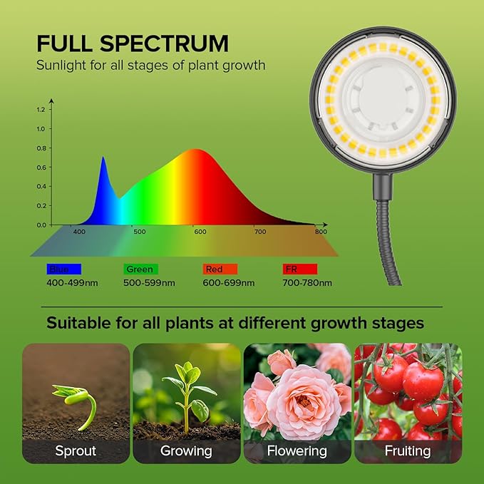 Desktop Plant Grow Light12w Growing Lamps High PpfdFull Spectrum Desk Growth Light with Automatic Timer4 Dimmable Levels（Black）