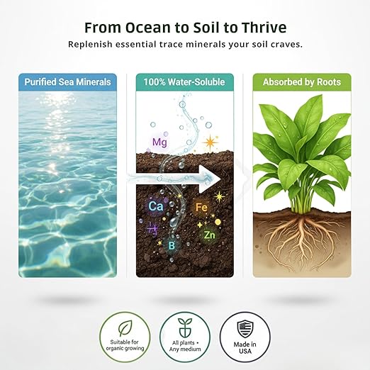 Ocean Magic Sea Mineral Fertilizer by GS Plant Foods(1 Gallon) - Soil Mineral Health Improvement Liquid Concentrate - Sea Minerals for Lawn and Turf Gardens &amp House Plants