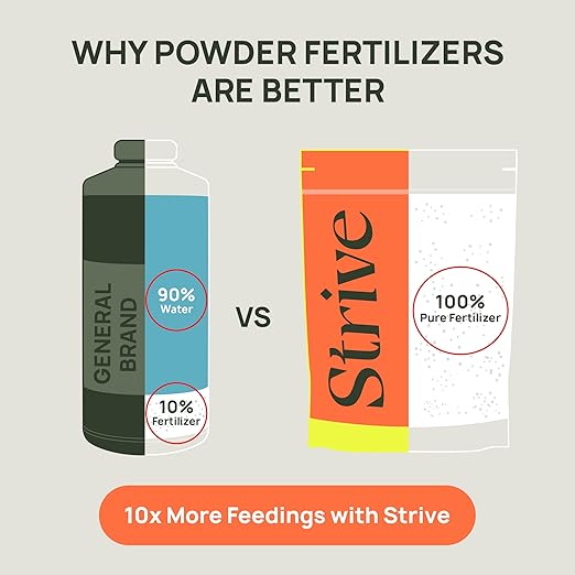 Strive Fertilizer Starter Kit Combo - Veg + Bloom General Hydroponic Nutrients - Indoor Outdoor and Soil Growing Plant Food - Booster for Vegetables Succulents Flowers (Trial Combo 300 Grams)