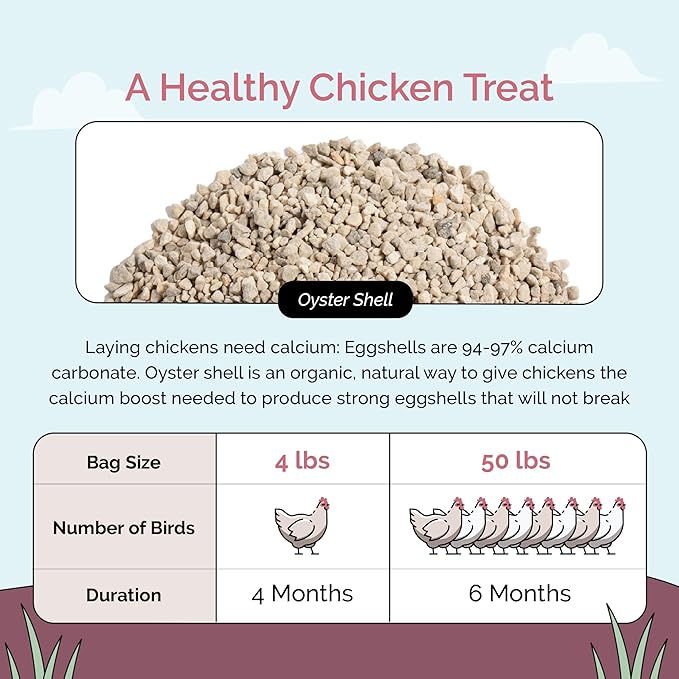 Chicken Grit &amp Oyster Shell Bundle – 100% Natural Mineral Grit &amp Limestone Calcium for Layers &amp Growers – Strong Eggshells Healthy Digestion USA Mined 2-Pack (4 lbs. Each)