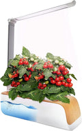 The Best Hydroponic Systems Plants Cultivation Lamps Separate Design Easy Cleaning Adjustable to 180o Interior Herbal Cultivation Suitable for Home Kitchen Gardening Gardening
