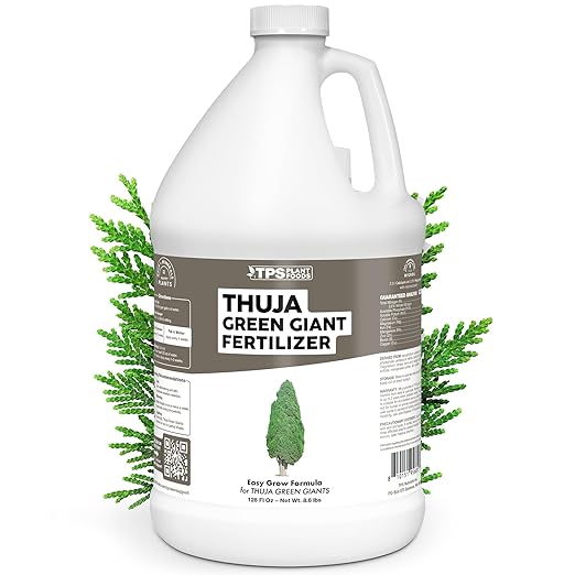 Thuja Green Giant Fertilizer – Liquid Plant Food for Faster Growth Fuller Green Foliage &amp Stronger Roots 1 Gallon