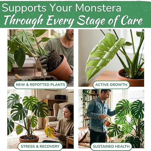 Monstera Plant Food - Premium Nutrient Rich Liquid Fertilizer (5-2-3 NPK) for Monstera Deliciosa &amp Other Tropical Plants | Supports Strong Roots &amp Large Lush Leaves | Safe Gentle Easy-to-Us