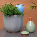 Self-Watering Planter Insert - 2 Pack Automatic Watering System for Indoor and Outdoor Potted Plants - Eco-Friendly Blue &amp Green Design with 300ml Capacity for Vacation Moisture Control