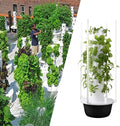 Garden Hydroponics Growing System Hydroponics Growing System Kit Indoor Vertical Garden Planter 110 220V 20 28 36 Holes Drip Irrigation for Balconies Courtyards Roofs 7楼