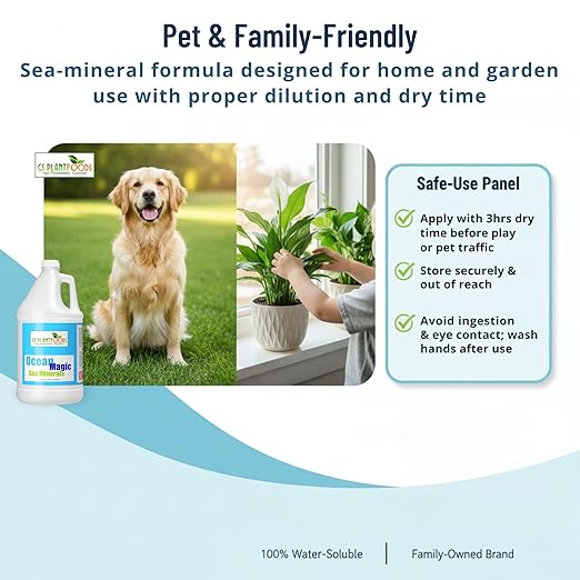 Ocean Magic Sea Mineral Fertilizer by GS Plant Foods(1 Gallon) - Soil Mineral Health Improvement Liquid Concentrate - Sea Minerals for Lawn and Turf Gardens &amp House Plants