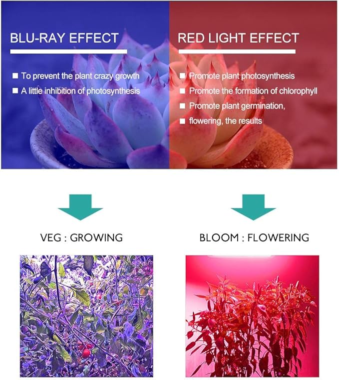 Fengyan Home Bulbs COB LED Growing Lamps Full Spectrum LED phytolamp 20W 30W 50W 100-240V LED Diode Array for Plants Hydroponics Greenhouse Household Lamp