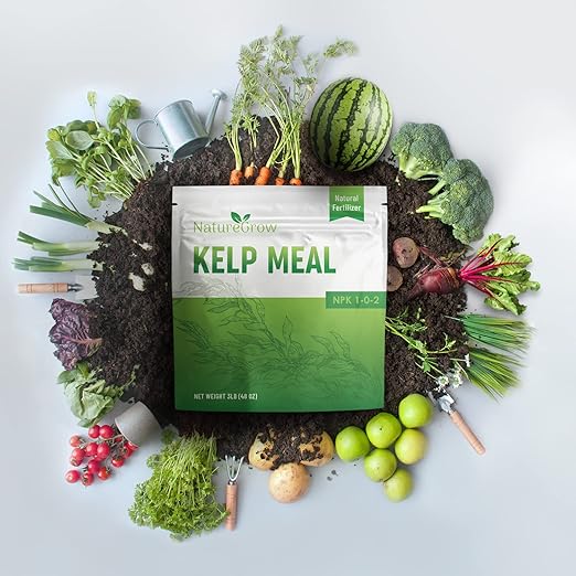 Kelp Meal 1-0-2 Natural Plant Food Boost Plant Health and Yield! (24lb)
