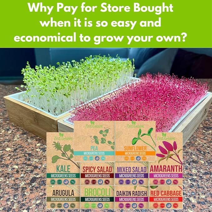 10 Variety Pack Microgreens Seeds - Broccoli Sunflower Pea Salad Mix Daikon Radish Kale Amaranth Spicy Salad Red Cabbage &amp Arugula. Grow Your own Microgreens with These Organic Seeds.