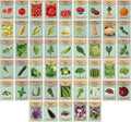 Black Duck Brand 50 Packs Assorted Heirloom Vegetable Seeds 40 Varieties Over 20000 Heirloom Seeds Includes Freedom Farms Vegetable Set Mylar Bag for Optimal Seed Storage! 100% Non-GMO