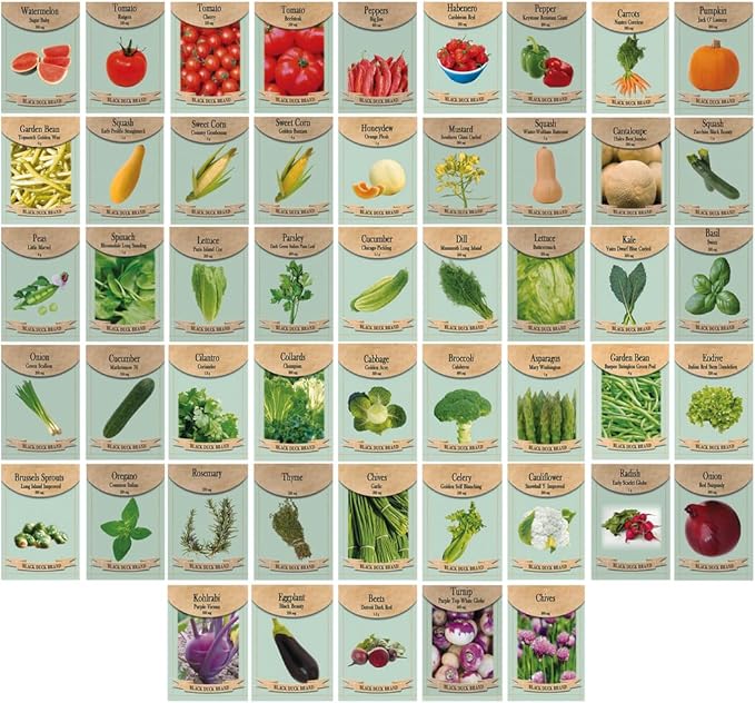 Black Duck Brand 50 Packs Assorted Heirloom Vegetable Seeds 40 Varieties Over 20000 Heirloom Seeds Includes Freedom Farms Vegetable Set Mylar Bag for Optimal Seed Storage! 100% Non-GMO