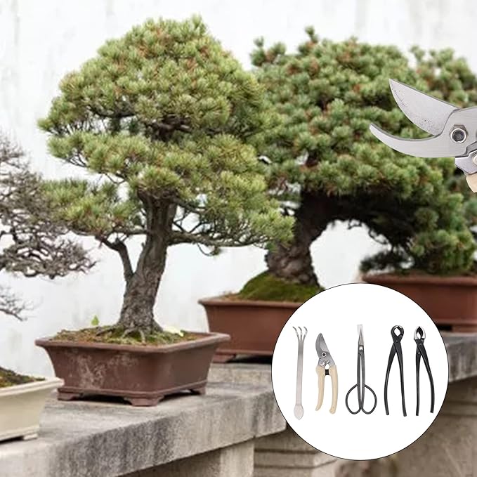 5Pcs Bonsai Tools Set Portable Garden Tools Set with Organizer Bag Mini Garden Succulent Tools Set for Seedlings Bonsai Succulents Herbs Terrariums and Planting