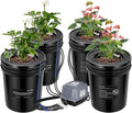 5 Gallon 4 Buckets+Reservoir Kit 2-in-1 Deep Water Culture Grow Kit System with Air Stone and Water Level Device