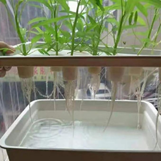 Hydroponic System GrowingGarden Cabinet BoxSelf Watering Improved Aeration Indoor Gardening System for