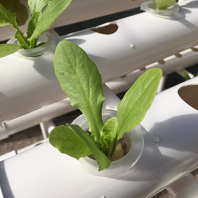 Pipe Type Hydroponic System 3 Layers 108 Holes Soilless Culture Equipment with Water Pump Controller Nest Basket Sponge for Wheatgrass Soybean Mung Hydroponics Nursery Planting