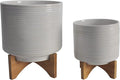 Generic S2 810 Planter ON Stand Speckled White