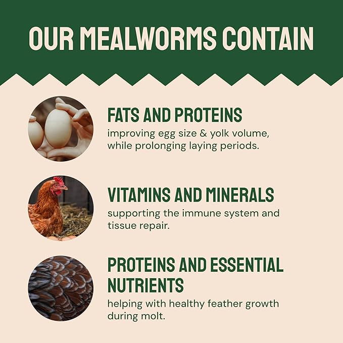 Hatortempt Bulk Dried Mealworms - 10 Lb Bag - Non-GMO Dried Mealworms for Chickens Ducks &amp Wild Birds - High-Protein Chicken Feed &amp Bird Food