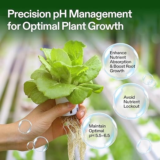 VIVOSUN pH Up &amp pH Down Kit 1 Quart Each pH Control Kit for Balanced pH Level and Optimal Nutrient Uptake pH Adjuster Liquid Fertilizer for All Plants and All Growing Systems