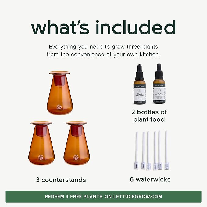 Counterstand Set – Vase Plant for Indoor Edible Garden Kit for Herbs &amp Lettuce – Small-Space Hydroponic System – Home Decor &amp Gifting – No Glow Lamp