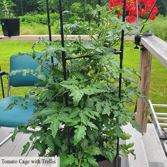 Tomato Cage with Trellis 62 H Wheeled Tomato Planter Box Outdoor for Climbing Plants Flowers Potato Vine Vegetables Portable Self Watering Raised Garden Bed for Patio Greenhouse