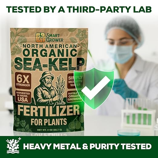 Organic Sea Kelp Fertilizer for Plants – Water-Soluble – Makes 200 Gallons – Kelp Meal Concentrate Plant Food – for Indoor Gardens Hydroponics Vegetables Houseplants - Smart Grower - 8oz Bag