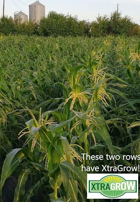 Premium Organic Plant Food