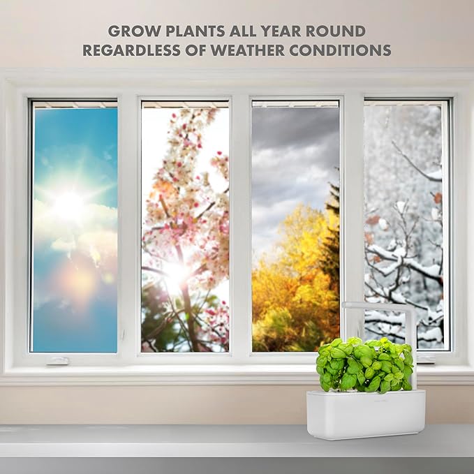 Click &amp Grow Indoor Herb Garden Kit with Grow Light | Smart Garden for Home Kitchen Windowsill | Easier Than Hydroponics Growing System | Vegetable Gardening Starter (3 Basil Pods Included) White