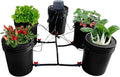 Hydroponics Growing System Kit5 Gallon Auto Watering SystemDeep Water CultureRecirculating Dripfor Indoor PlantsGrow Tents