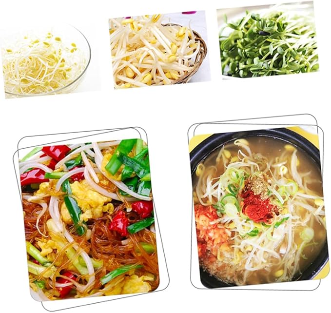110v Intelligent Dual-Layer Bean Machine for Home Use Automatic Water Circulation Temperature Efficient Hydroponics System