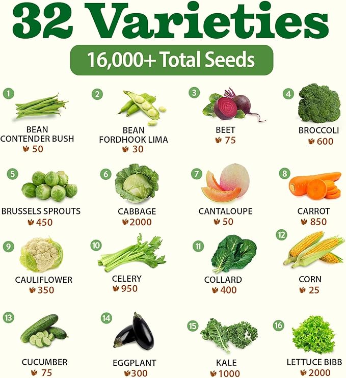 32 Heirloom Vegetable and Fruit Seeds for Planting - 16000+ Seeds | Non-GMO Survival Seed Vault | High Germination | 32 Varieties of Vegetable Seeds for Your Home Survival Garden