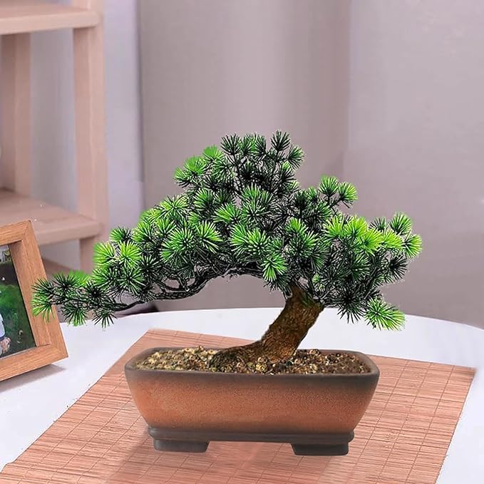 MUZHI 2 Pack Handmade Color Gradational Terracotta Bonsai Pot 5 Inch and 6 Inch with Drip Tray Breathable Unglazed Rectangle Ceramic Planter for Tree Succulent Cactus