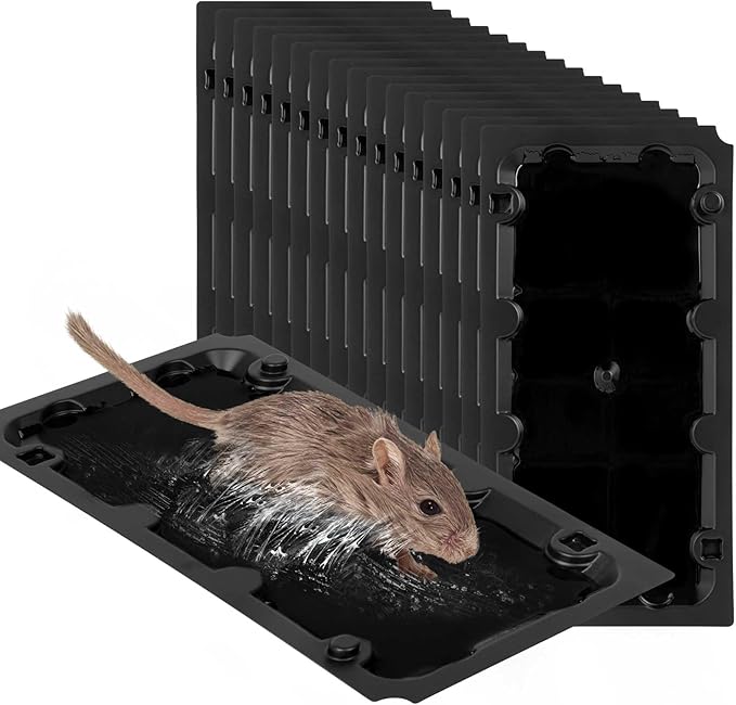16 Pack Sticky Mouse Trap Rat Traps Indoor Peanut Taste Pheromone Mouse Traps Indoor for Home Glue Sticky Traps for Mice and Rats Snake(Large Size)